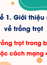 CN Trồng trọt - Bài 1. Trồng trọt trong bối cảnh cuộc cách mạng 4.0